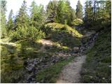 Carbonin - Dürrensteinhütte / Rifugio Vallandro